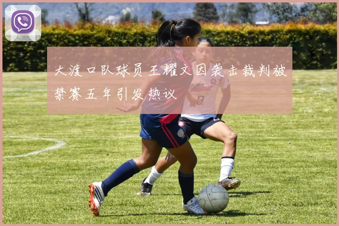 大渡口队球员王耀文因袭击裁判被禁赛五年引发热议